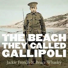 The BeachThey Called Gallipoli