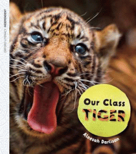 Our Class Tiger