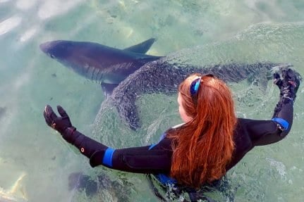 One of the divers who stayed with Fluffy in the pool overnight at Manly Sea Life Sanctuary