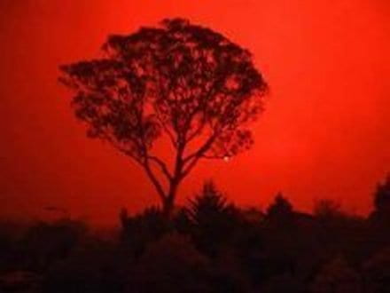 The fire dragon roars through Canberra suburbs, January18, 2003